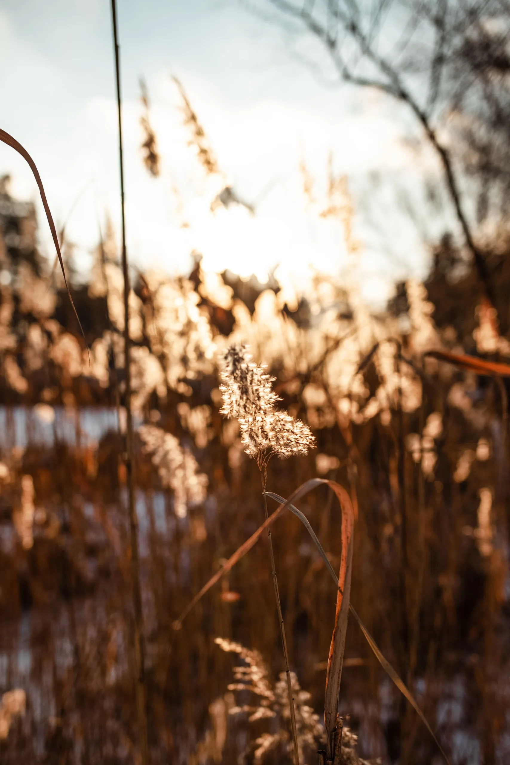 defocus